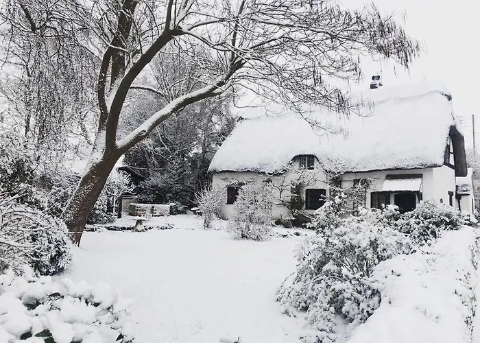 Cider Mill Cottage