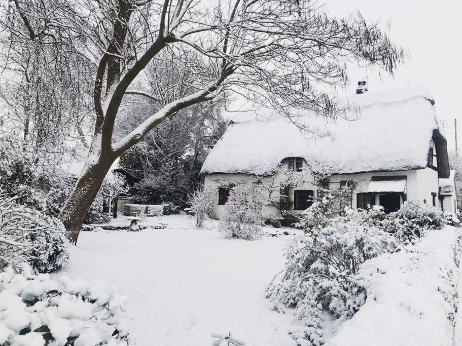 Cider Mill Holiday home *